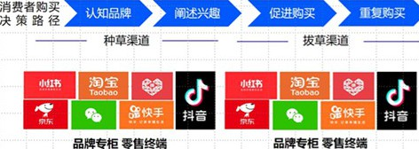 广州大麦